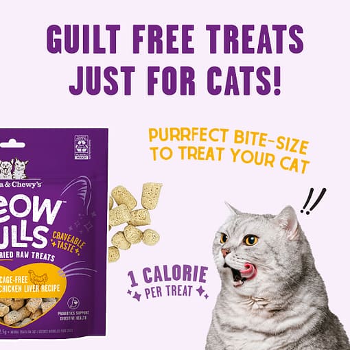 Stella & Chewy's Meowfulls Freeze Dried Cat Treats - Chicken & Chicken Liver Recipe - Image 4