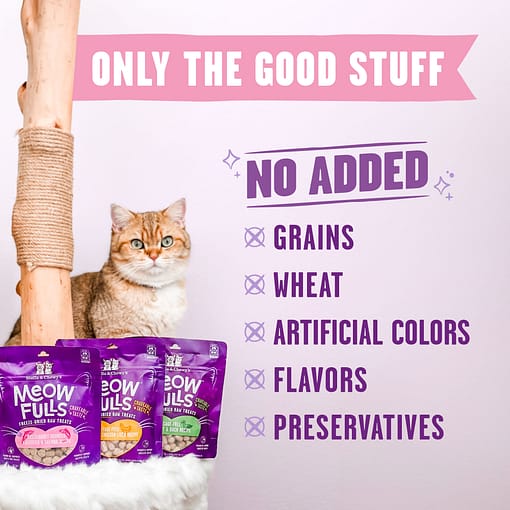 Stella & Chewy's Meowfulls Freeze Dried Cat Treats - Chicken & Chicken Liver Recipe - Image 2