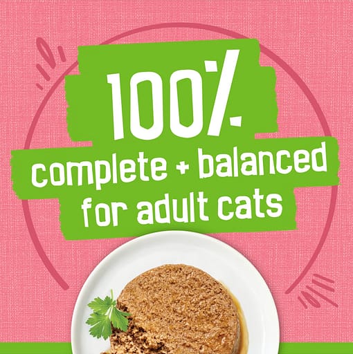 Purina FRISKIES Salmon Dinner Wet Cat Food 156g - Image 5