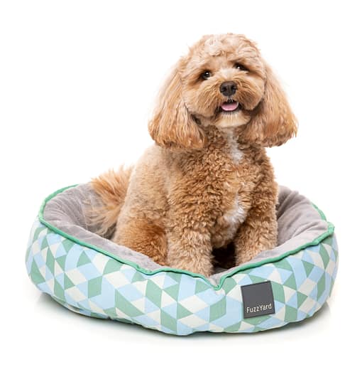 Peridot Reversible Bed