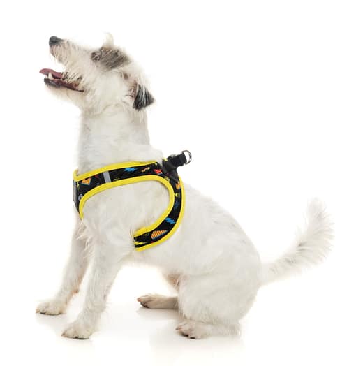 FuzzYard Step In Harness - Bel Air