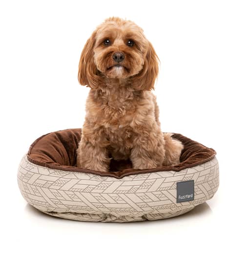 Wilshire Reversible Bed
