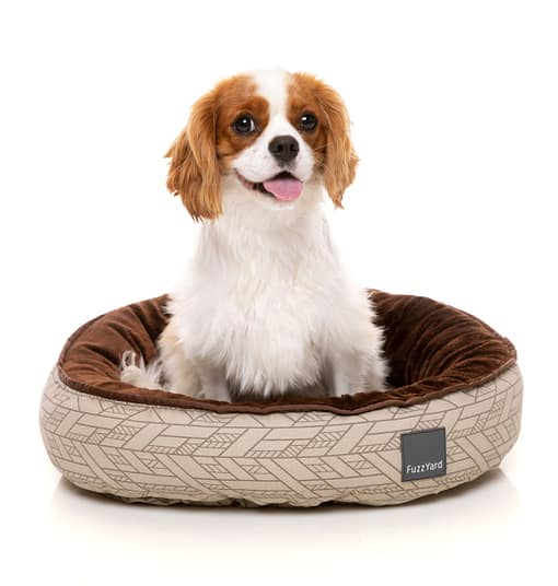 Wilshire Reversible Bed