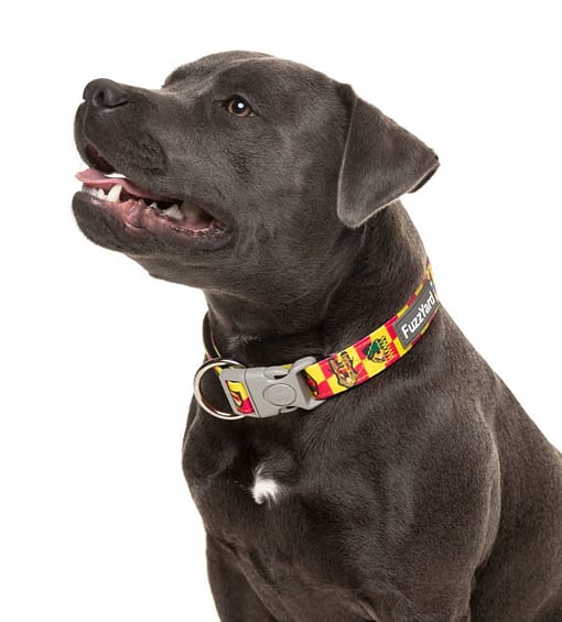 Doggoforce Collar