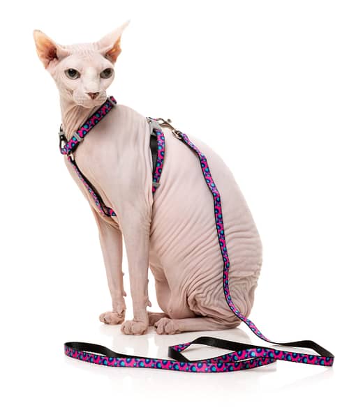 Fuzzyard Cat Walking Set - Wild One - Bubblegum - Image 4