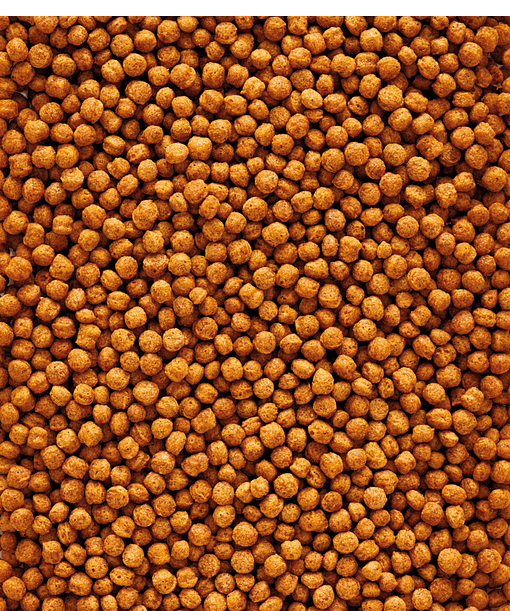 Versele-Laga F16 - Fruit & Insect Eating Birds - Maintenance 800g - Image 2