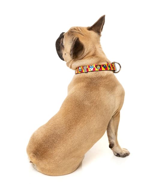Doggoforce Collar