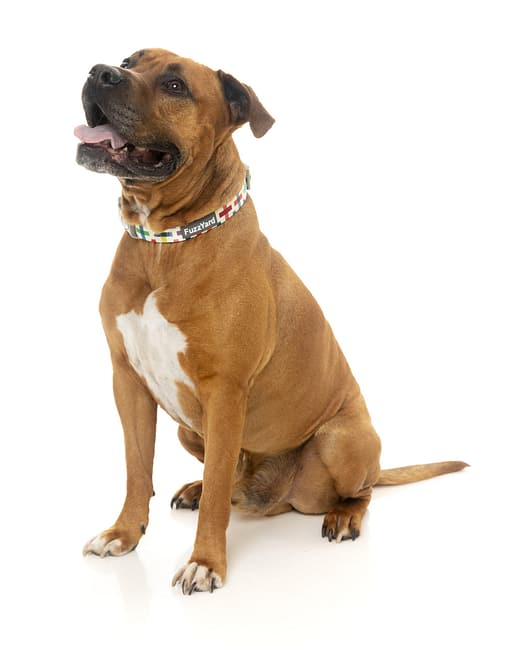 Jenga Collar