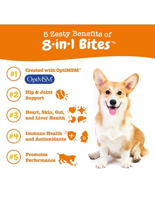 Zesty Paws 8-in-1 Multifunctional Bites Chicken Flavour Supplement for Dogs 90c - Image 4