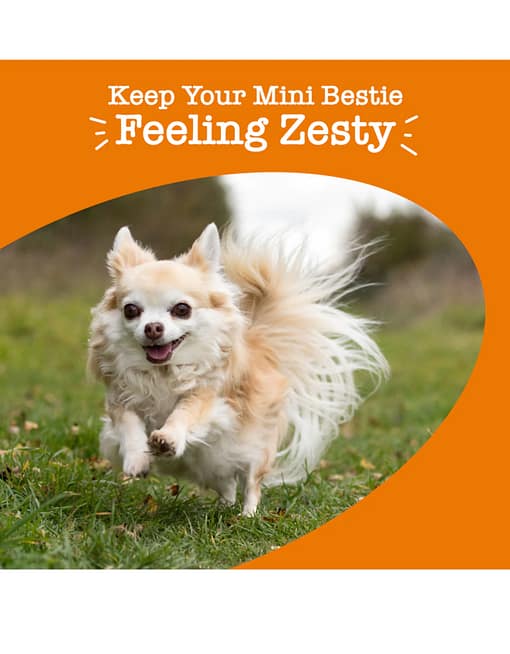 Zesty Paws 8-in-1 Multifunctional MINI Bites Chicken Flavour Supplement for Dogs 90ct - Image 5