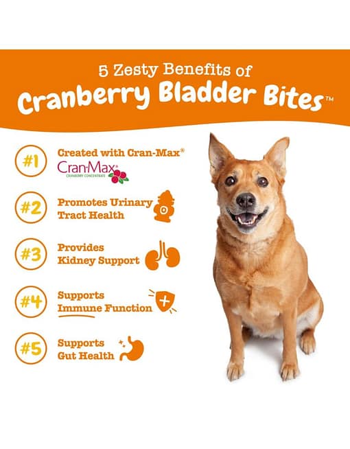 Zesty Paws Cranberry Bladder Bites Supplement for Dogs 90ct - Image 4