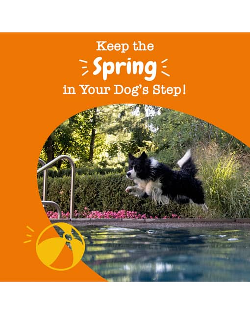Zesty Paws Mobility Bites Duck Flavour Hip & Joint Supplement for Dogs 90c - Image 3