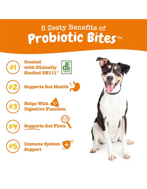 Zesty Paws Probiotics Bites Chicken Flavour Probiotic Supplement for Dogs 90ct - Image 2