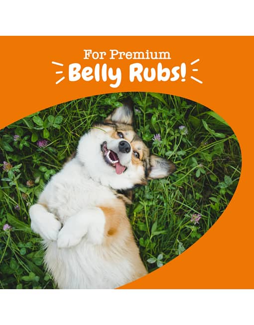 Zesty Paws Probiotics Bites Chicken Flavour Probiotic Supplement for Dogs 90ct - Image 3