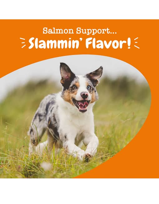 Zesty Paws Salmon Bites Skin Heath Supplement for Dogs 90ct - Image 3