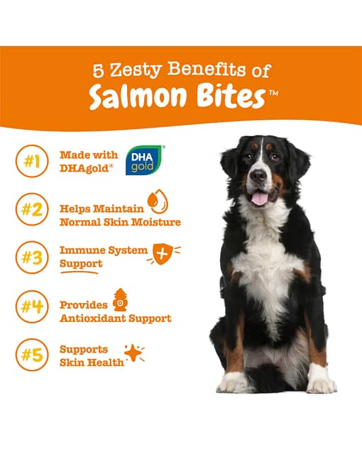 Zesty Paws Salmon Bites Skin Heath Supplement for Dogs 90ct - Image 5
