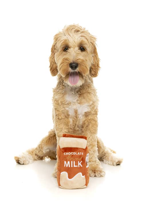 FuzzYard Dog Toy - Chocolate Almond Milk