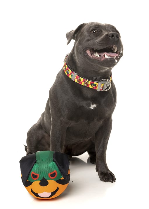 FuzzYard Dog Toy - Doggoforce Rumble