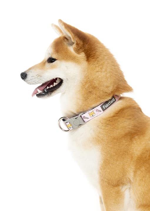 SuShiba Collar