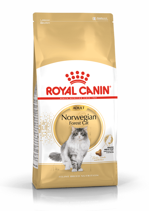 Royal Canin Norwegian Forrest Adult Dry Cat Food 2KG