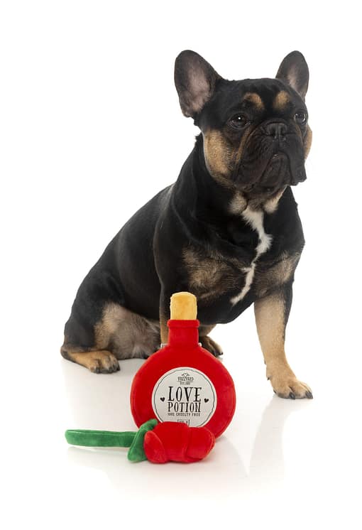 FuzzYard Dog Toy - I Heart you Potion/Rose - 2 Pack