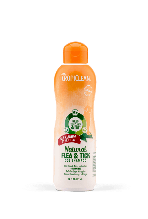 TropiClean Natural Flea & Tick Shampoo, Maximum Strength (2 Sizes)