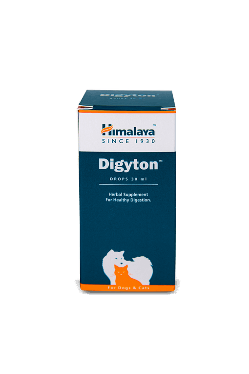 Himalaya Digyton Drops (Digestion) 30ml For Dogs & Cats