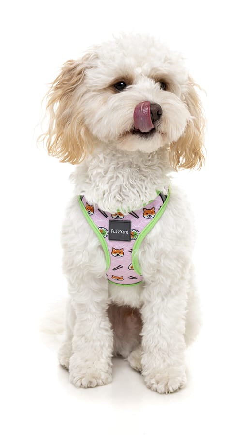 FuzzYard Step In Harness - SuShiba
