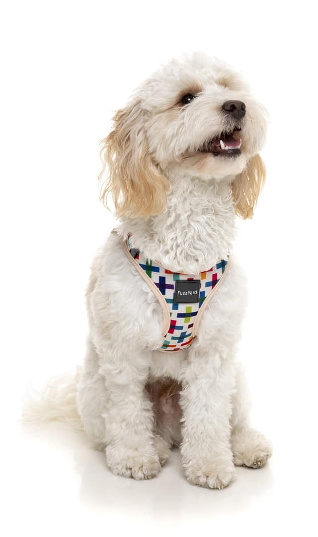 FuzzYard Step In Harness - Jenga