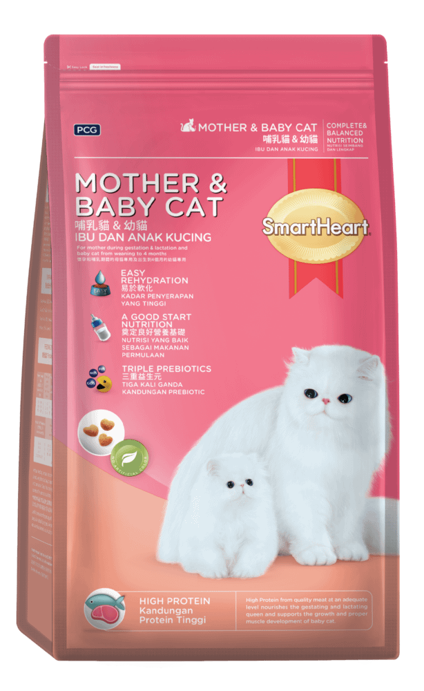 Smart Heart Mother and Baby