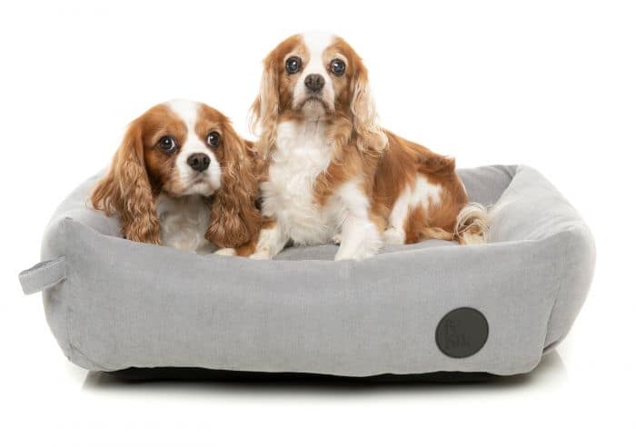 FuzzYard Lounge Pet Bed Stone Grey