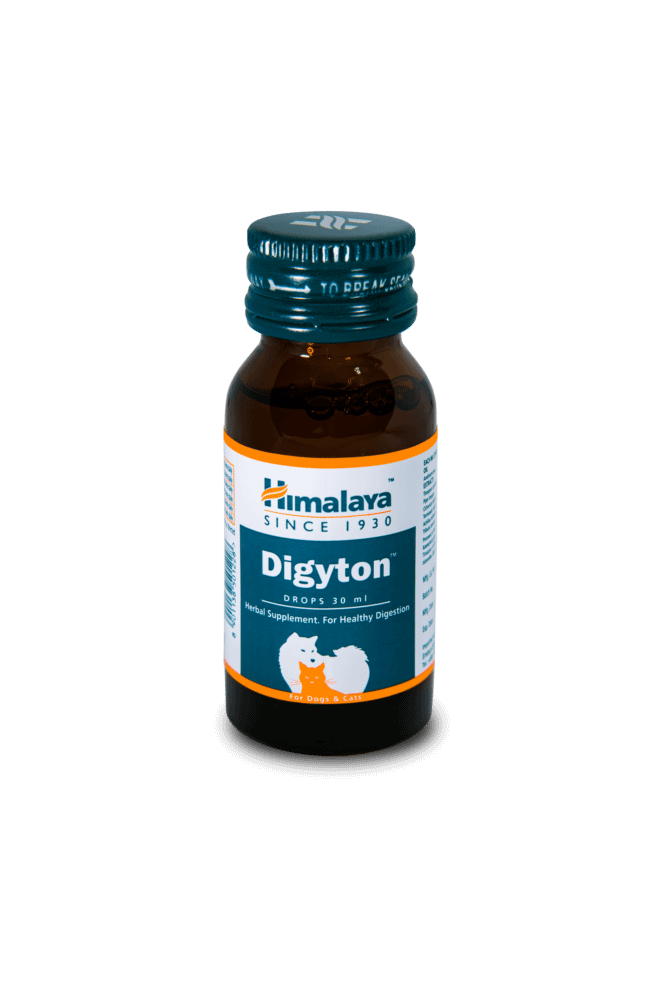 Himalaya Digyton Drops (Digestion) 30ml For Dogs & Cats
