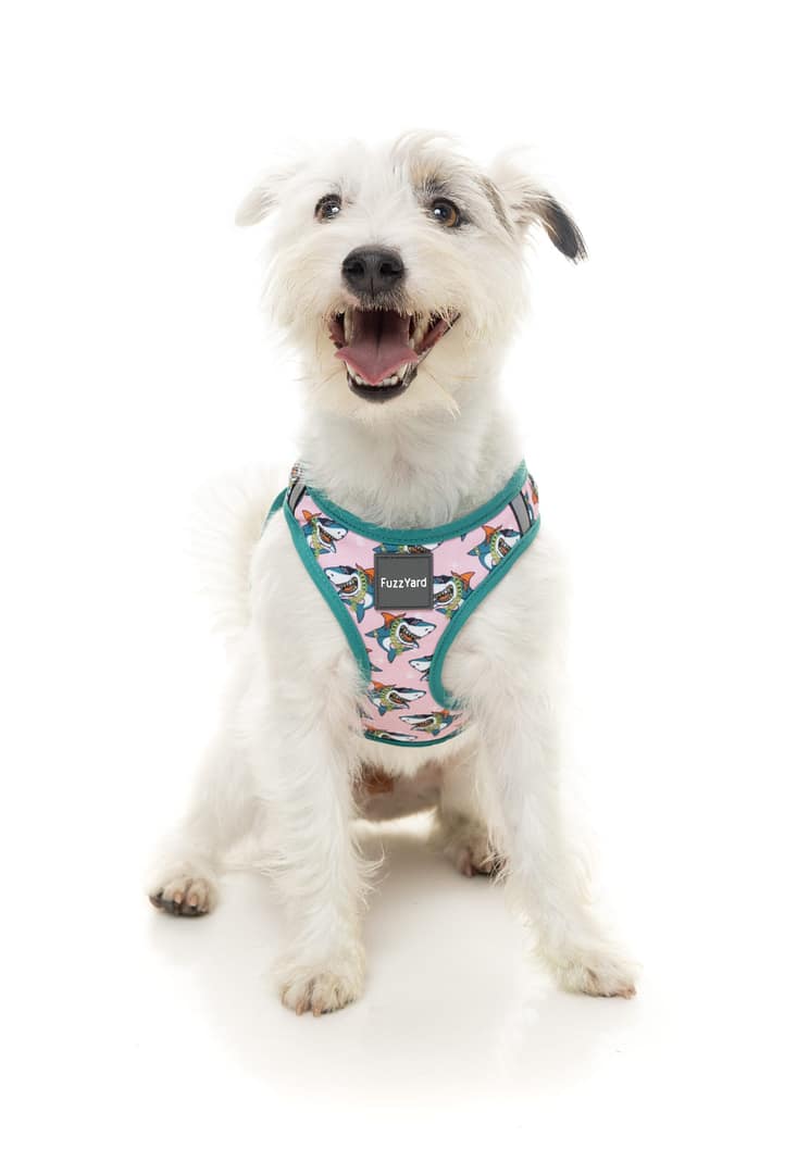 FuzzYard Step In Harness -LL Cool Jaw$