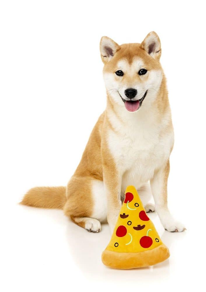 FuzzYard Dog Toy - Pizza