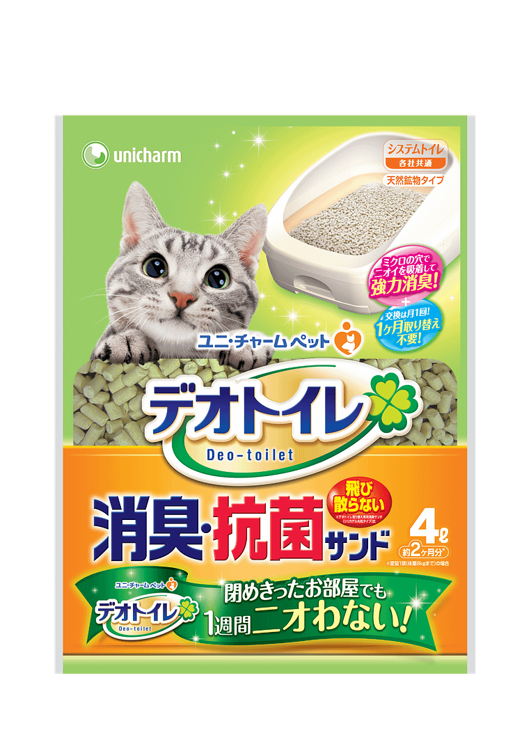 Website Content for Tokkiya