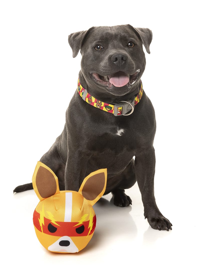 FuzzYard Dog Toy - Doggoforce Zap