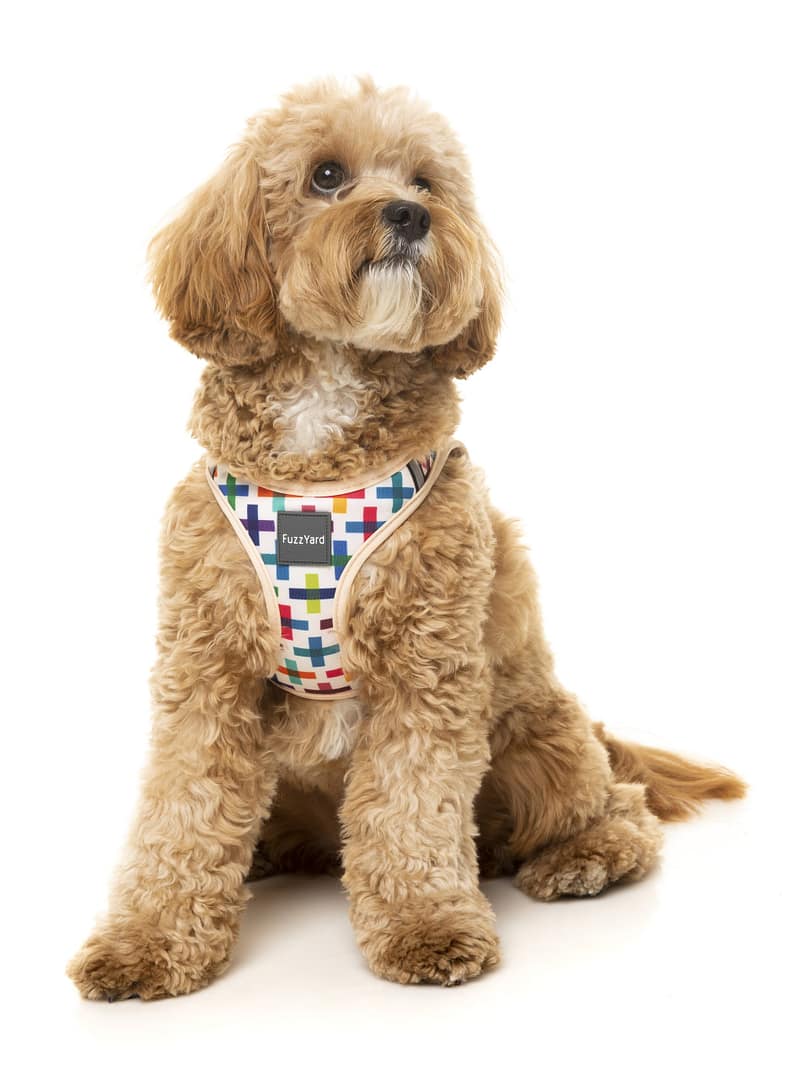 FuzzYard Step In Harness - Jenga