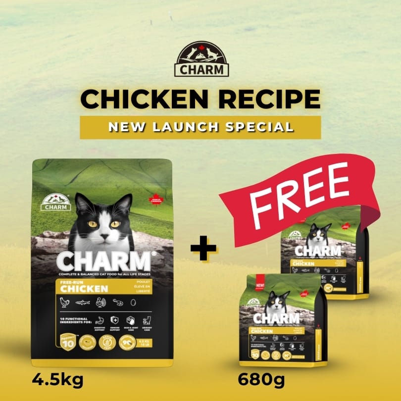 CHARM Free Run Chicken Grain Free Dry Cat Food (3 Sizes) - Image 3