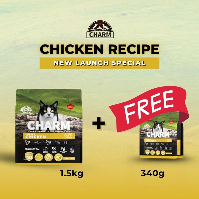 CHARM Free Run Chicken Grain Free Dry Cat Food (3 Sizes) - Image 2