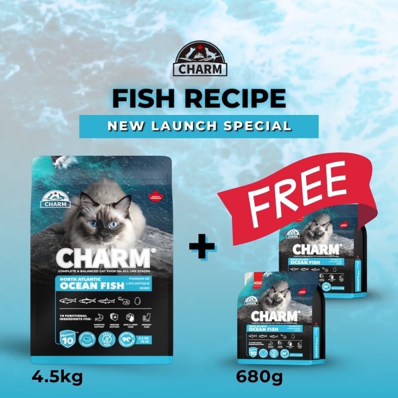 CHARM North Atlantic Ocean Fish Grain Free Dry Cat Food (3 Sizes) - Image 6