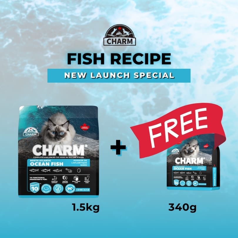 CHARM North Atlantic Ocean Fish Grain Free Dry Cat Food (3 Sizes) - Image 5
