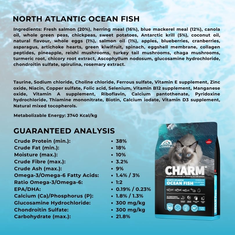 CHARM North Atlantic Ocean Fish Grain Free Dry Cat Food (3 Sizes) - Image 3