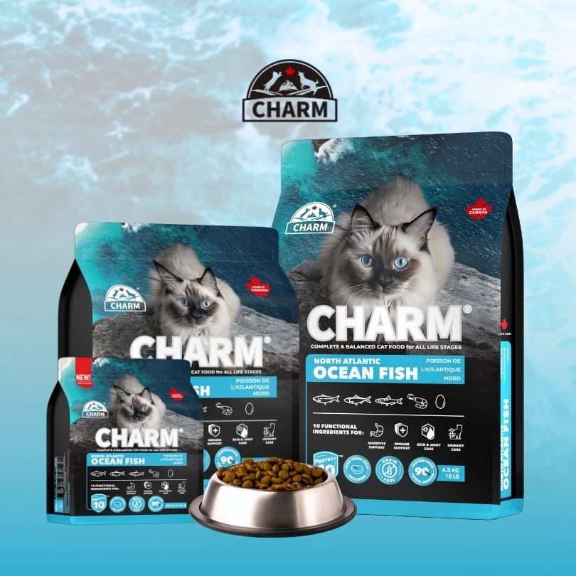 CHARM North Atlantic Ocean Fish Grain Free Dry Cat Food (3 Sizes)