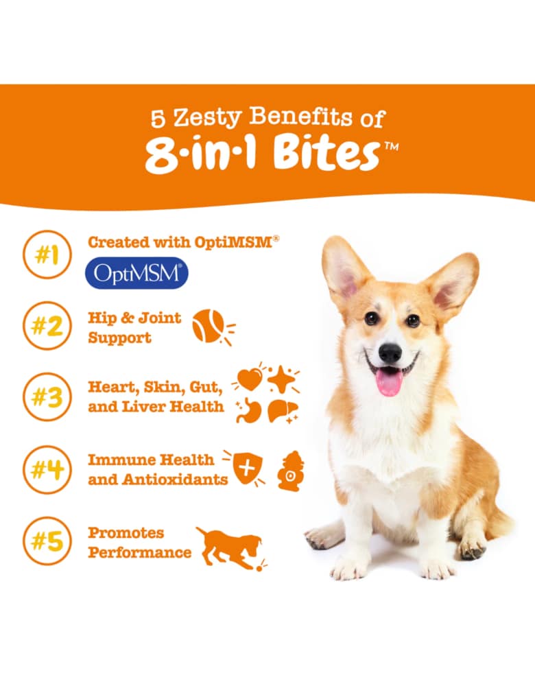 Zesty Paws 8-in-1 Multifunctional Bites Peanut Butter Flavour Supplement for Dogs 90ct - Image 3