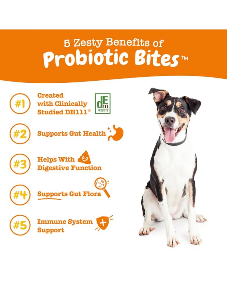 Zesty Paws Probiotics Bites Chicken Flavour Probiotic Supplement for Dogs 90ct - Image 2