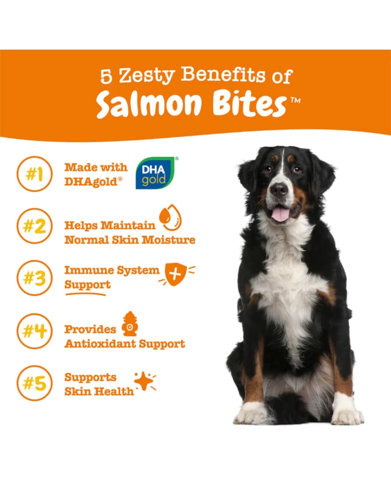 Zesty Paws Salmon Bites Skin Heath Supplement for Dogs 90ct - Image 5