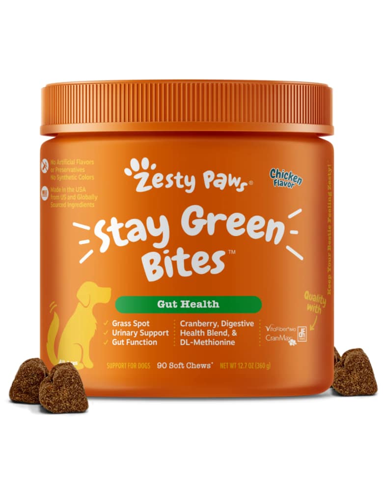 Zesty Paws Stay Green Bites Chicken Flavour Gut Health Supplement for Dogs 90ct