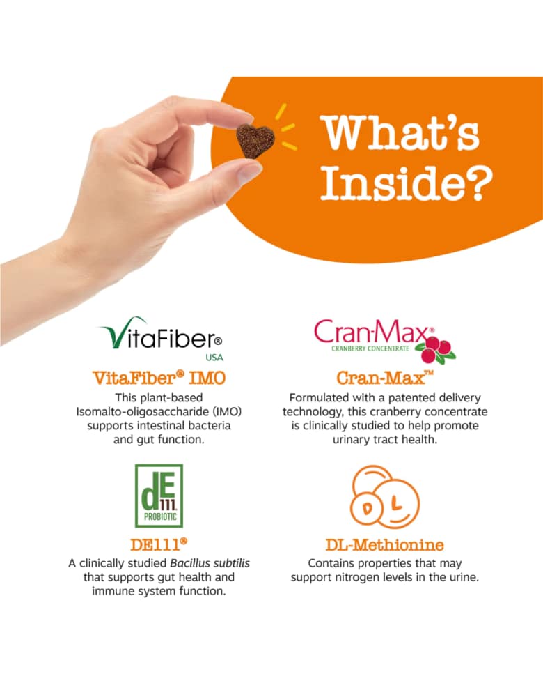 Zesty Paws Stay Green Bites Chicken Flavour Gut Health Supplement for Dogs 90ct - Image 3