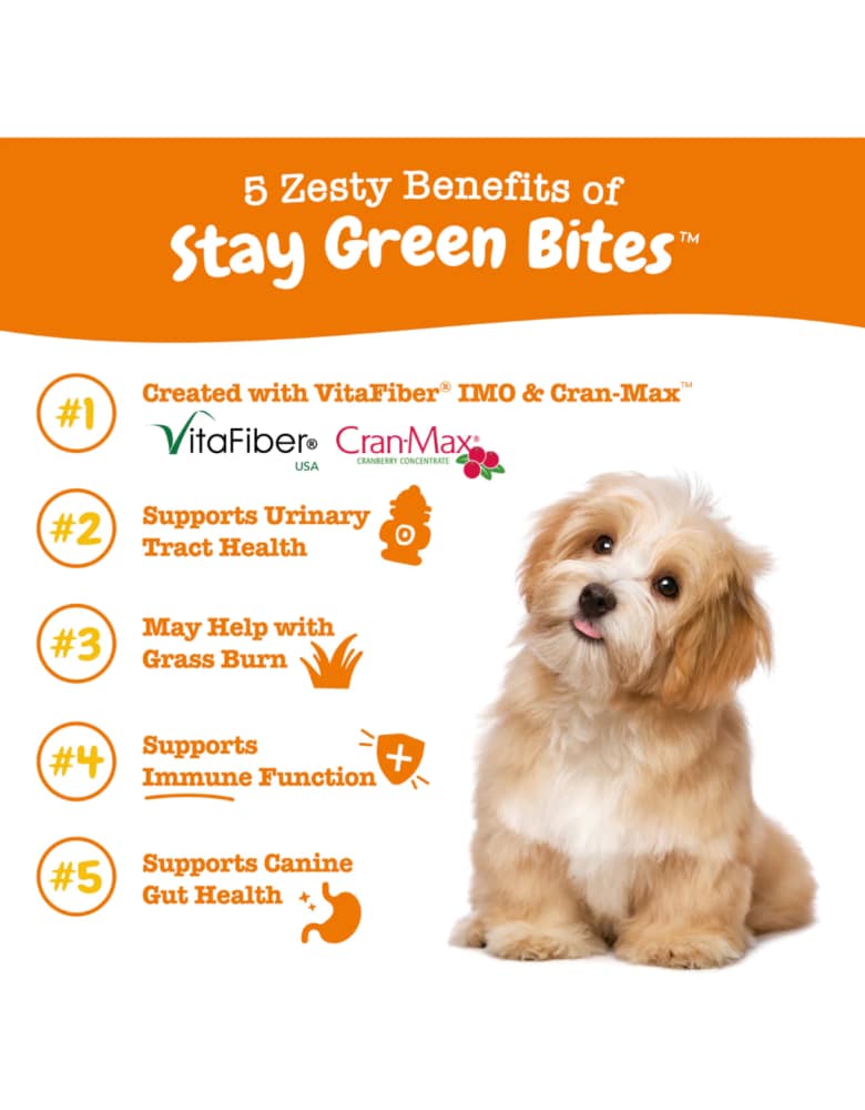 Zesty Paws Stay Green Bites Chicken Flavour Gut Health Supplement for Dogs 90ct - Image 4