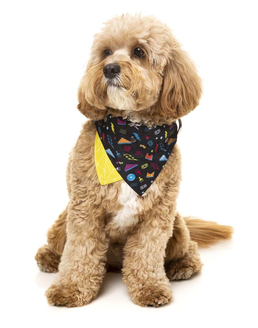 FuzzYard Bel Air Pet Bandana
